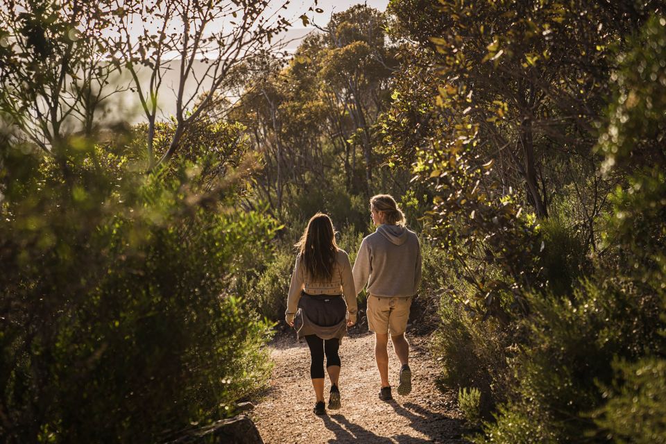 Port Lincoln Day Tour: Eyre Peninsula - Price and value: what $140 buys you (and why it can be fair)