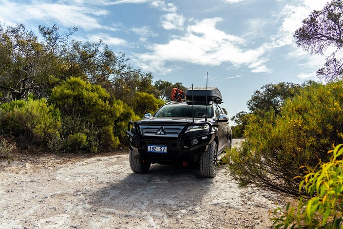 Port Lincoln Full-day Exploration Tour - Whalers Way and the Southern Eyre Peninsula Coast: Dramatic Views, Private Access