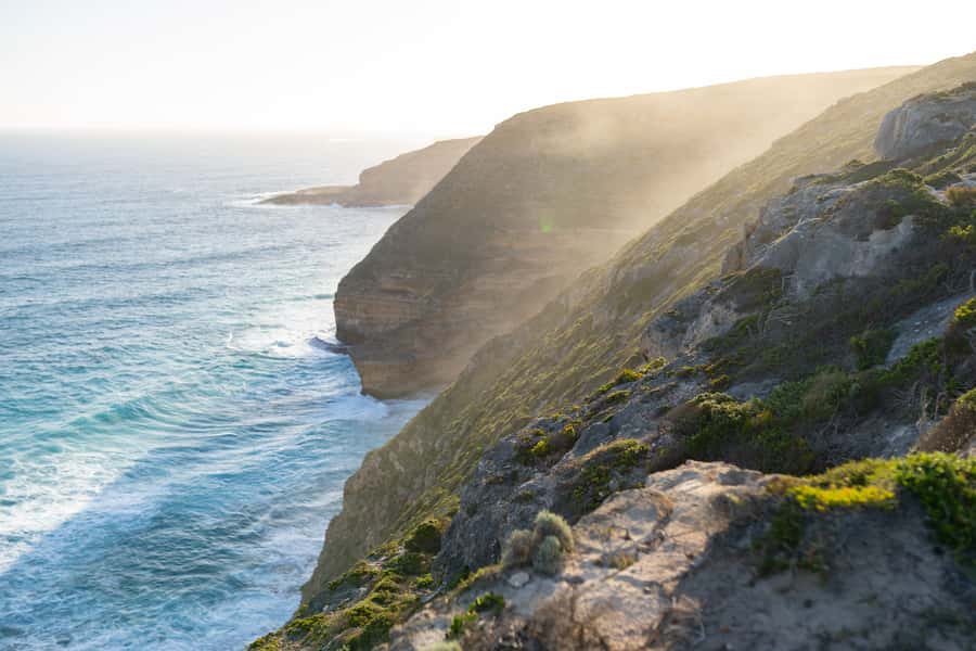 Port Lincoln: Wildlife and Sightseeing Full-Day 4WD Tour - Seafood lunch, snacks, and the rhythm of an 8-hour day