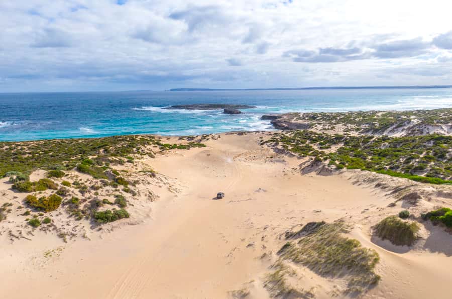 Port Lincoln: Wildlife and Sightseeing Full-Day 4WD Tour - Whalers Way: private-property views with limestone coast, caves, and seals