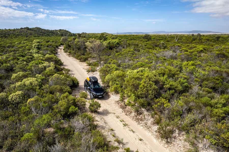 Port Lincoln: Wildlife and Sightseeing Full-Day 4WD Tour - Is the $208 price fair for an 8-hour 4WD wildlife day?