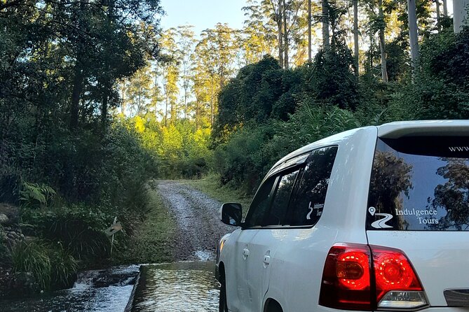 Port Macquarie day tour to Ellenborough Falls & Comboyne Rock - Timing, driving, and how to make the day feel easy