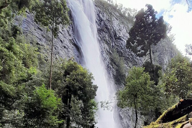 Port Macquarie day tour to Ellenborough Falls & Comboyne Rock - Comboyne: lunch stop and country-town break