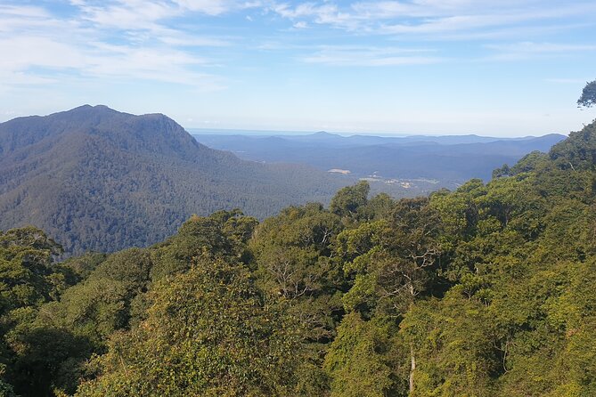 Port Macquarie Day Tour to Water Falls and Lookouts - Newell Falls: a quick pass that still earns a photo