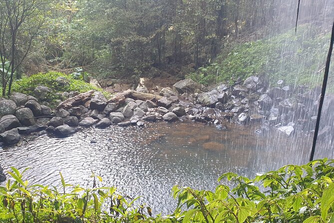 Port Macquarie Day Tour to Water Falls and Lookouts - What makes the small-group format feel worth it