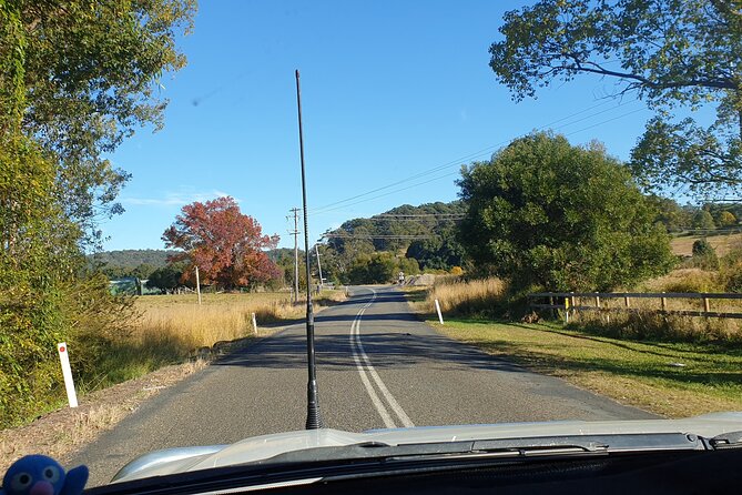 Port Macquarie Day Tour to Water Falls and Lookouts - Getting started: Port Macquarie pickup and a clear schedule