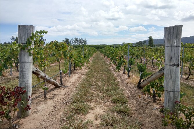 Port Macquarie Wine and Beer, Hastings Tasting Trail Tour - Beer Day Adds a Second Mood (Wed to Sat)