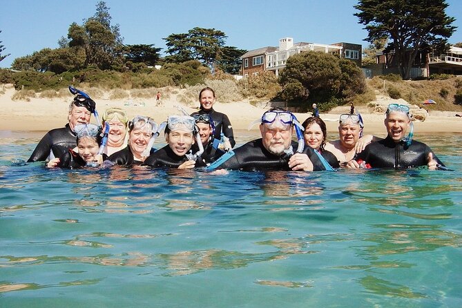 Port Phillip Bay Snorkeling with Sea Dragons - Morning or afternoon departure: choosing the time that fits your day