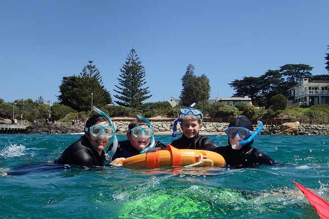 Port Phillip Bay Snorkeling with Sea Dragons - The 2-hour flow: Bayplay briefing, beach walk, and your swim time