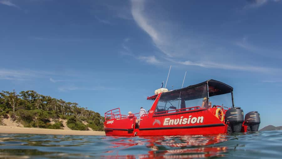 Port Stephens: 1hr Dolphin Watch Express - Port Stephens Dolphin Watch Express: What This 1-Hour Trip Really Delivers