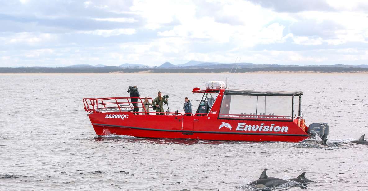Port Stephens: 1hr Dolphin Watch Express - Meet the Crew and Follow the Dolphin Commentary