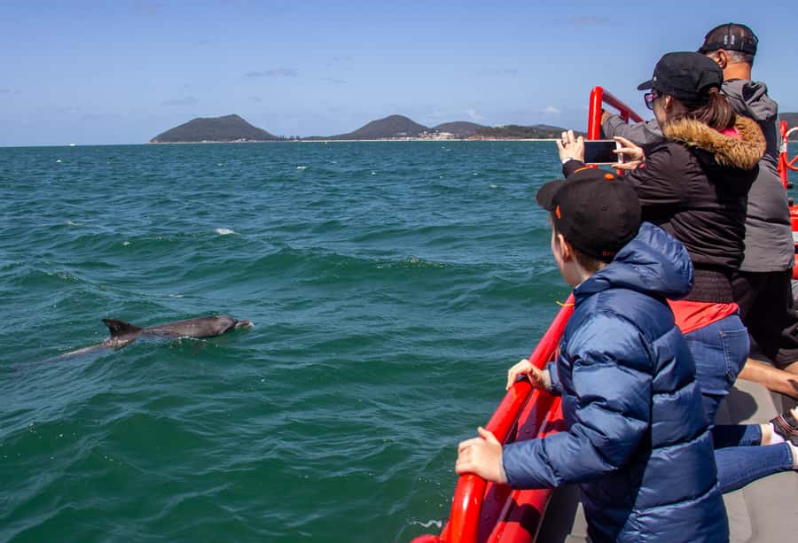 Port Stephens: 1hr Dolphin Watch Express - Who This Dolphin Watch Express Is Best For