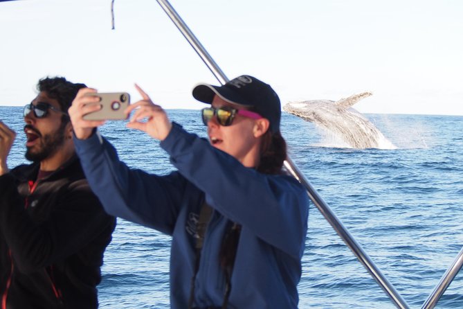 Port Stephens 3 Hour Whale and Dolphin Watch Cruise - Why This 3-Hour Whale Watch Starts Offshore (And Feels Way Better)