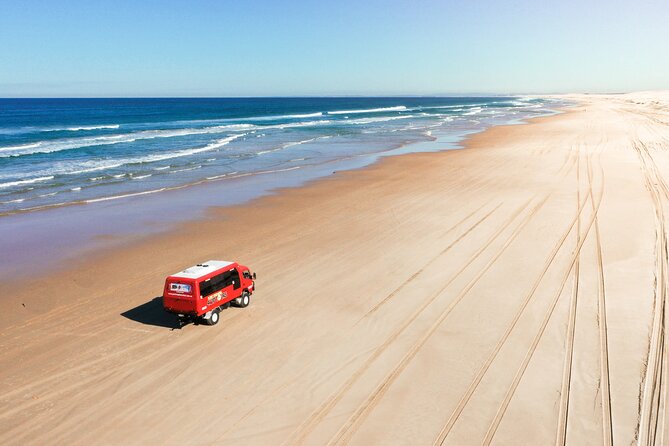 Port Stephens 4WD Beach Sand Dune Adventure - Birubi Beach and Stockton Sand Dunes: the ecology part isn’t just talk