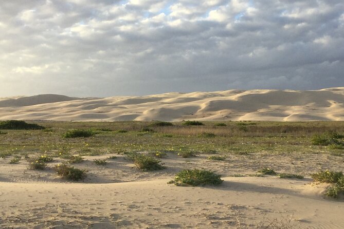 Port Stephens, Beach and Sand Dune 4WD Passenger Tour - The guide factor: what Bruce adds to the 4WD day