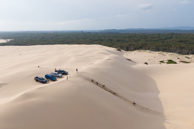 Port Stephens, Beach and Sand Dune 4WD Tag-Along Tour - Key highlights to know before you go