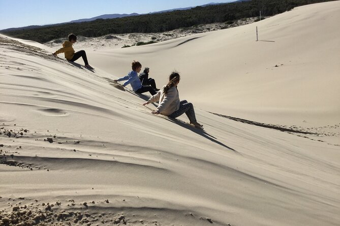 Port Stephens, Beach and Sand Dune 4WD Tag-Along Tour - First time on sand? That steep-track confidence comes from the guide
