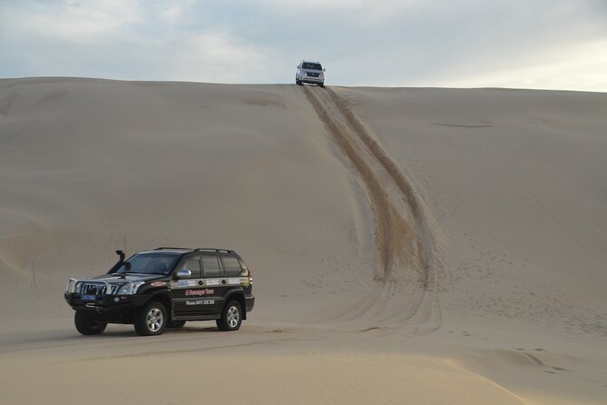 Port Stephens, Beach and Sand Dune 4WD Tag-Along Tour - Price and value: what $257.49 means when you compare it to group logistics