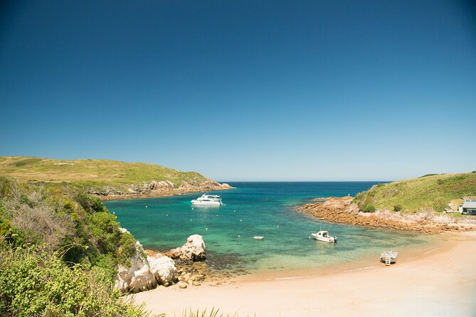 Port Stephens: Broughton Island Cruise - Key highlights worth penciling in