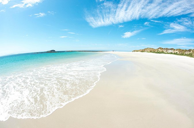 Port Stephens: Broughton Island Cruise - Picnic lunch on the island: how to make it actually enjoyable