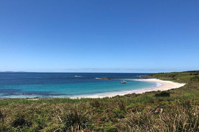 Port Stephens: Broughton Island Cruise - Snorkelling and beach time: the water is the real payoff