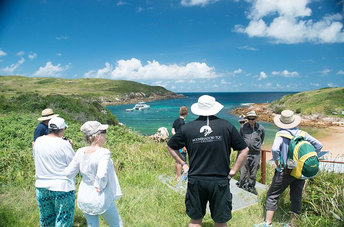 Port Stephens: Broughton Island Cruise - Timing, group size, and how to plan your day