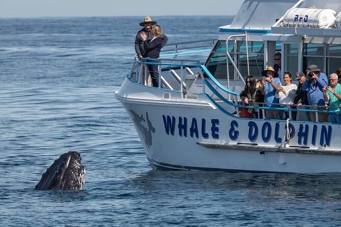 Port Stephens, departing Newcastle - Whales, hike & sand dunes! - What to expect on the “active” parts (and how to choose your pace)