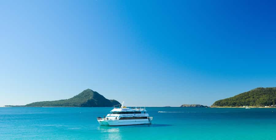 Port Stephens: Dolphin Cruise, Lunch, Koalas & Sandboarding - PS Koala Sanctuary: seeing koalas in a conservation setting
