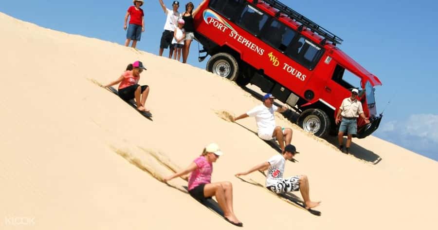 Port Stephens: Dolphin, Lunch, Koalas&Sandboarding -Mandarin - Key things that make this tour work