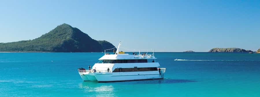 Port Stephens: Dolphin, Lunch, Koalas&Sandboarding -Mandarin - Port Stephens lunch hour: how to use it without rushing