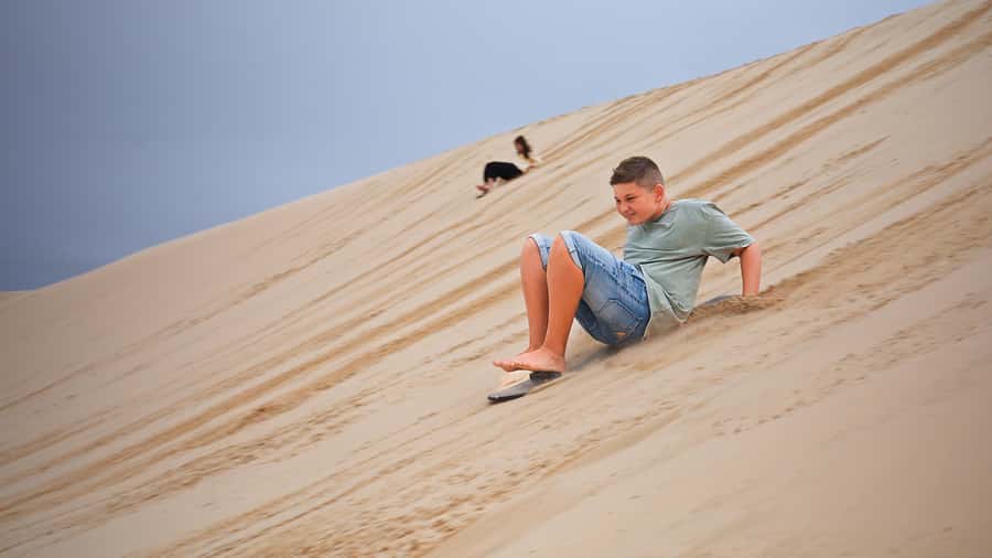 Port Stephens: Dolphin, Lunch, Koalas&Sandboarding -Mandarin - Koala Sanctuary: a short stop that’s about real habitat