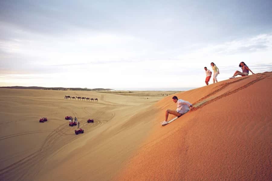 Port Stephens: Dolphin, Lunch, Koalas&Sandboarding -Mandarin - Nelson Bay Dolphin Discover cruise: what you’re actually going for