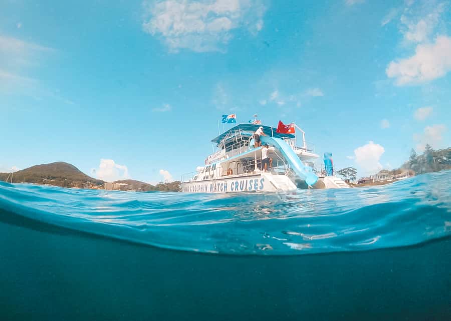 Port Stephens: Dolphin Watch Cruise with Swimming and Slides - What You’ll Do On the Water (And Why It Matters)