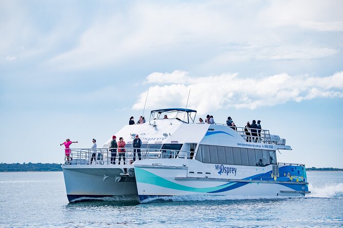 Port Stephens: Dolphin Watch Eco Adventure - Key highlights you’ll care about