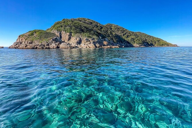 Port Stephens: Dolphin Watch Eco Adventure - Dolphin spotting from Nelson Bay, with real narration onboard
