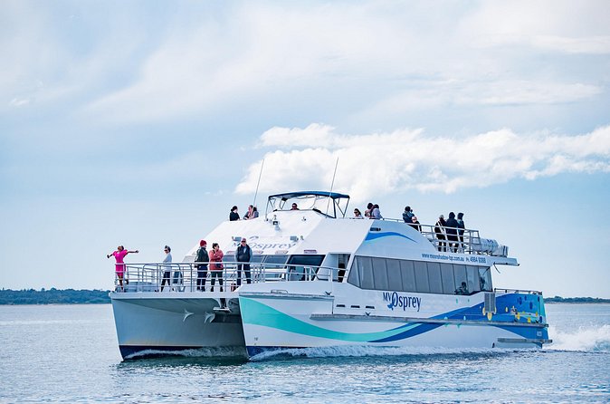 Port Stephens: Dolphin Watch Eco Adventure - Price and value: is $32.28 fair for 90 minutes?