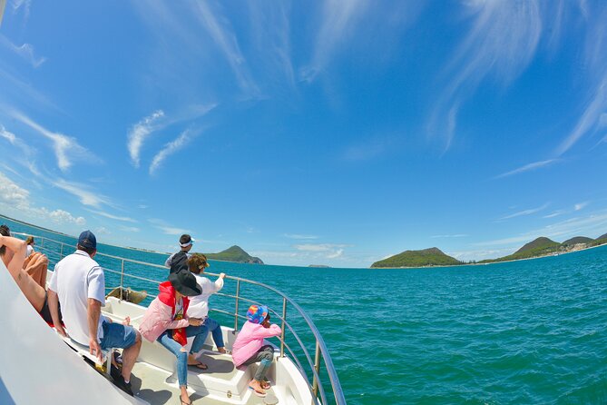 Port Stephens: Dolphin Watch Eco Adventure - The main trade-offs to plan for