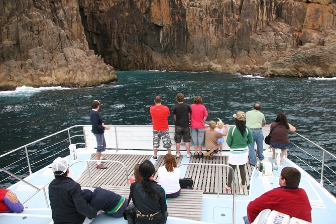 Port Stephens: Dolphin Watch & Eco Adventure - Finding bottlenose dolphins in Port Stephens Marine Park