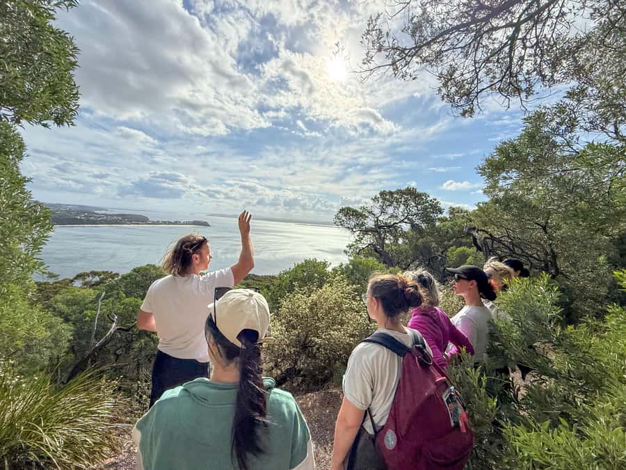 Port Stephens, from Newcastle: Whales, hike & sand dunes! - Mount Tomaree hike: summit views, good pacing, and a flat-walk option
