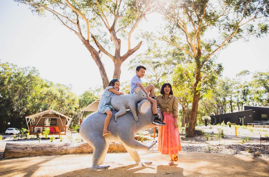 Port Stephens: Koala Sanctuary General Admission Ticket - Price and value: is $19 worth it?