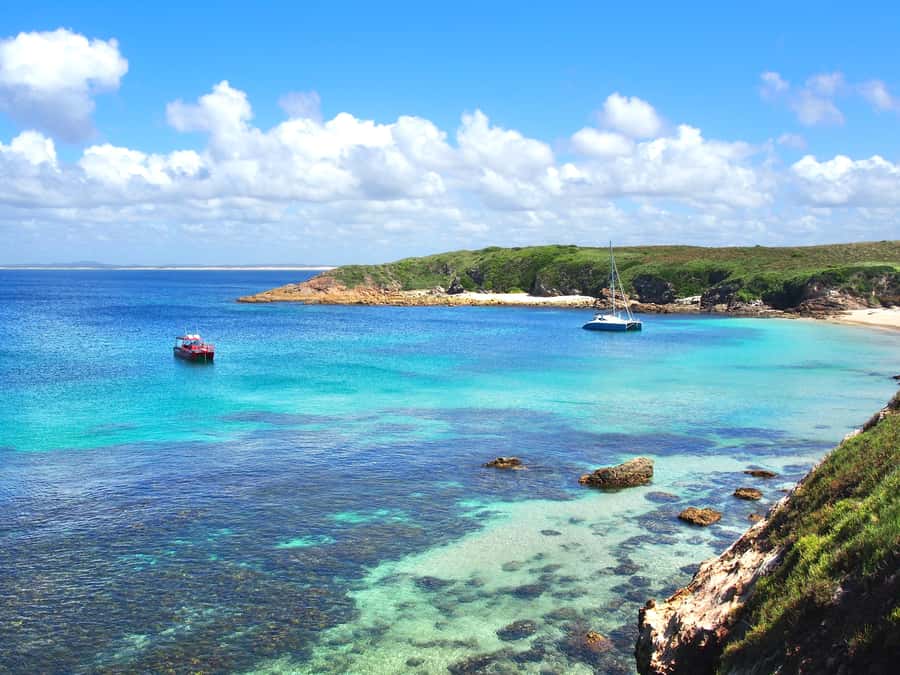 Port Stephens: Port Stephens Island Snorkel Adventure Cruise - Key Things I’d Prioritize Before You Go