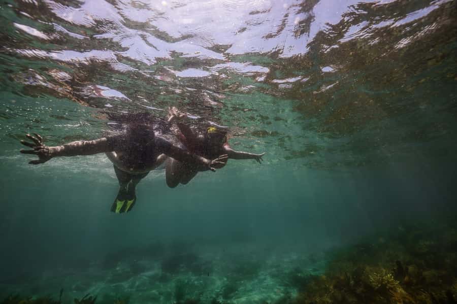 Port Stephens: Port Stephens Island Snorkel Adventure Cruise - Where You Swim: Cabbage Tree, Broughton, or Fingal Islands