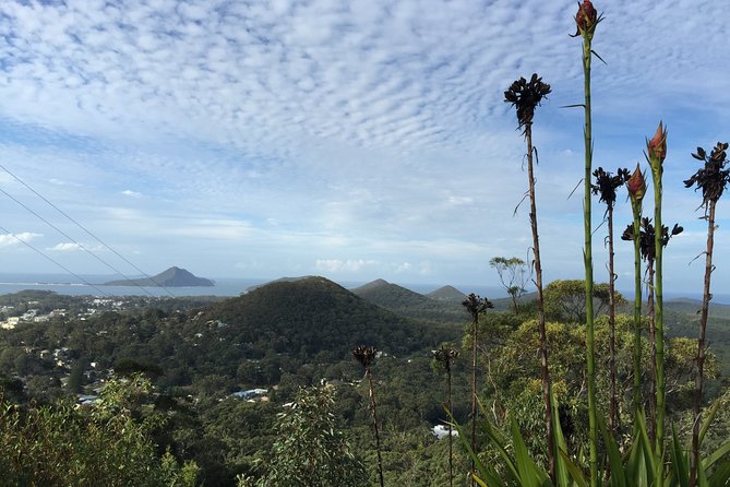 Port Stephens Private Tour From Sydney, with Dolphin/ Whale Cruise Options - Gan Gan Lookout and Little Beach: The Easy Scenery Wins