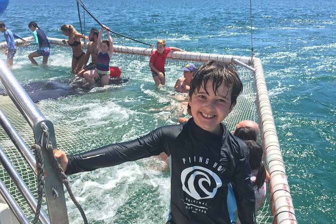 Port Stephens Private Tour From Sydney, with Dolphin/ Whale Cruise Options - Lunch at the Nelson Bay Bowling and Recreation Club