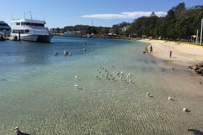 Port Stephens Private Tour From Sydney, with Dolphin/ Whale Cruise Options - Stockton Sand Dunes: Sandboarding Without the DIY Setup