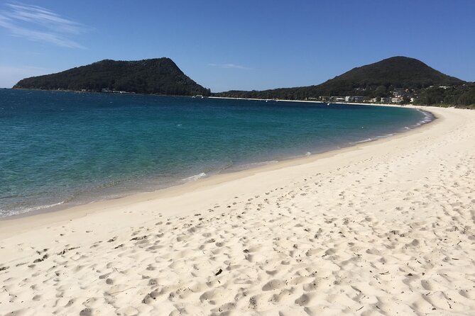 Port Stephens Private Tour From Sydney, with Dolphin/ Whale Cruise Options - Guide and Vehicle Comfort: What the Private Format Changes