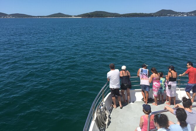 Port Stephens Private Tour From Sydney, with Dolphin/ Whale Cruise Options - Nelson Bay: Dolphins First, Then the Views
