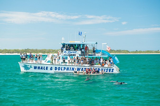 Port Stephens: Splash 'n' Slide Dolphin Cruise - Crew, Commentary, and the Small Stuff That Makes It Feel Well Run