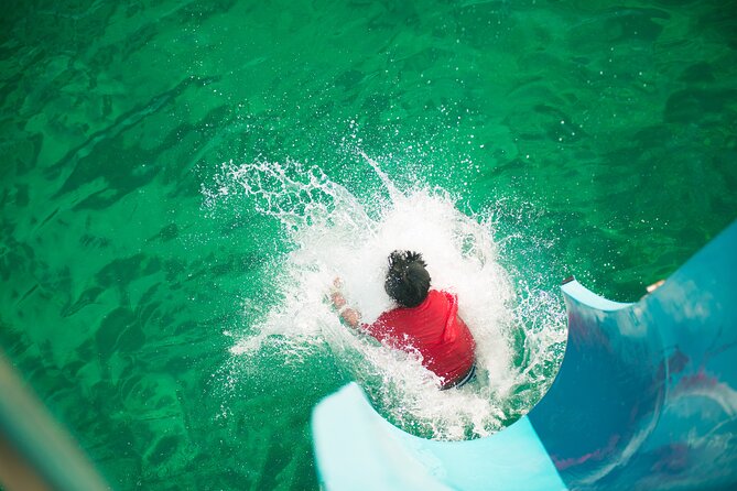 Port Stephens: Splash 'n' Slide Dolphin Cruise - Price and Value: Why $35.86 Often Feels Like a Win