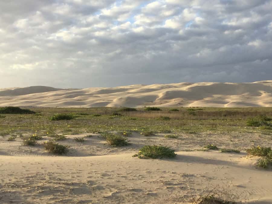 Port Stephens: Stockton Sand Dunes 4WD Tag-Along Tour - Driver training in your 4WD: useful skills, real responsibility